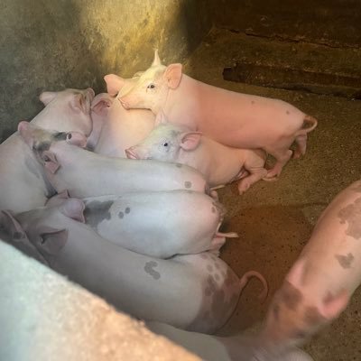 ouhaokai's profile picture.