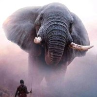 drukariuki🐘 (@drukariuki_ke) Twitter profile photo