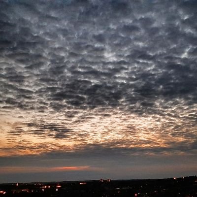 galadhr1m's profile picture. 28, UK