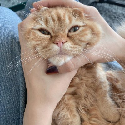 Aminajb7676's profile picture. Every pain will change your mind!
And will be finished on definitely limited