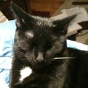 David Allbritton - @dasugarcane - Twitter