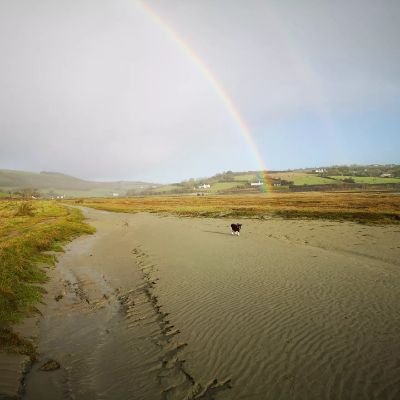 famron's profile picture. Nature, hound adopter. Winter bird counter. 🌍 🌳🌻