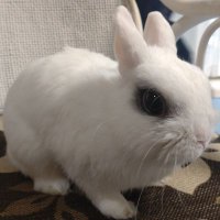 キヨ (@s2khbpvq3r1vdc2) 's Twitter Profile
