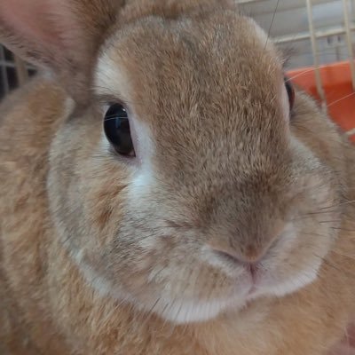 あおっとさんのプロフィール画像