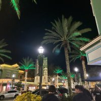 Diane D. (@diane5785) 's Twitter Profile