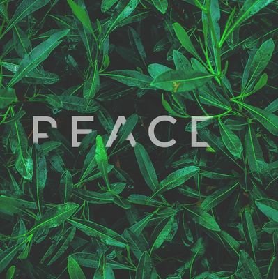 OmarAbdoAli2022's profile picture. 