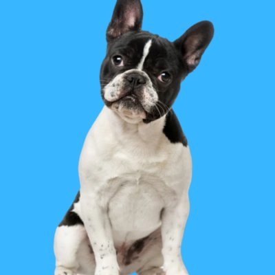 paachapriv's profile picture. 