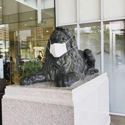 gomatamg's profile picture. 特定のジャンルのつぶやきはしませんが、馬と広島カープと電車とクルマが話題に上りやすいかもしれません。 アフェリエイトはブロックします。