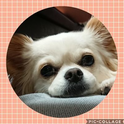 さきさんのプロフィール画像