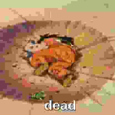 AndCrufts's profile picture. follows and likes 🔞 so be warned