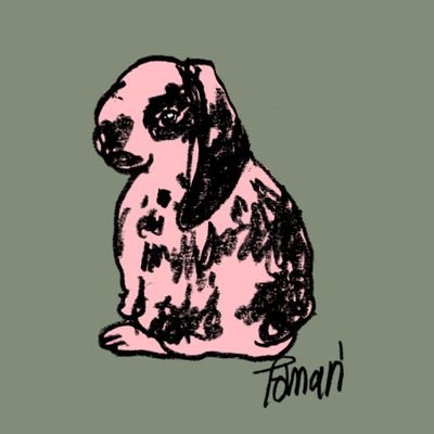 泊さんのプロフィール画像