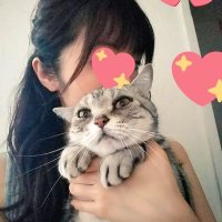 うちのにゃんこ😺🍴🍺 (@nekonekorieko) Twitter profile photo