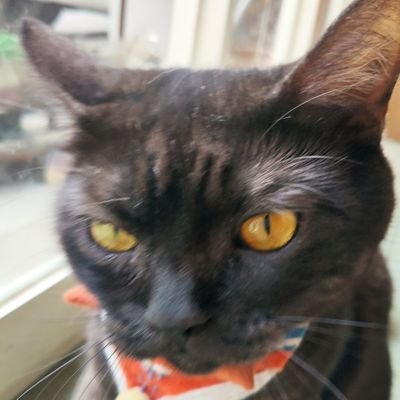 我只是個喜歡玩電玩和ACG的臺灣實況主
Twitch : https://t.co/8vYKAVDyEb
#六四 #NO_TOP_UP_ANYMORE