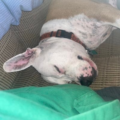 SkateBrdDunks's profile picture. 