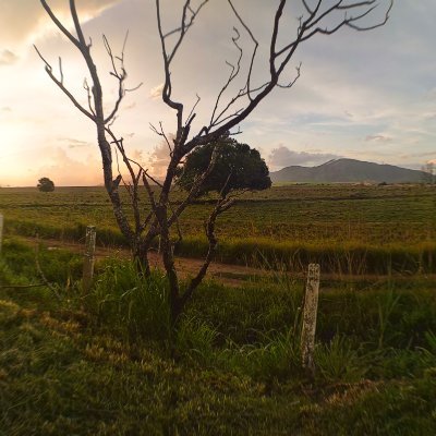 BrasilMartinha's profile picture. Bem aventurada é a nação cujo Deus é o Senhor.
🇧🇷🇧🇷🇧🇷