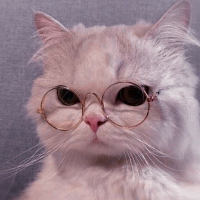 Kittitat Onpeng (@kittitatonpeng) 's Twitter Profile