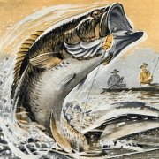 Img2611's profile picture. 