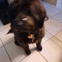 hartwig_ball (@ball_hartwig) 's Twitter Profile