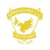 Springvale C.C. (@springvalecc) Twitter profile photo