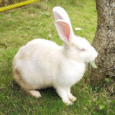 blesseddkiddd's profile picture. besok mungkin aku sampai'