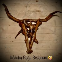 Bir Garip Döngü (@helezoncu) 's Twitter Profile