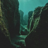 MSItrench (@msitrench) 's Twitter Profile