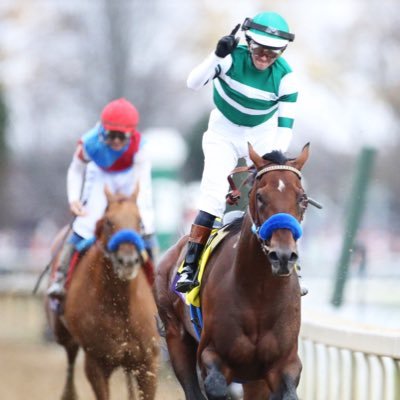 Horse Racing Handicapper. #GamblingTwitter #HorseRacing