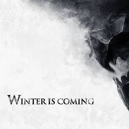 internrev11's profile picture. Knower of nothing