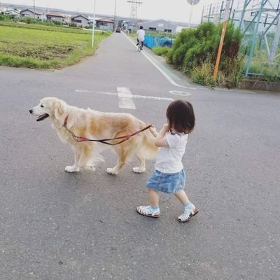 Mr5Children's profile picture. 