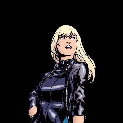 {She/They}, Black Canary stan with a lot of time on my hands.