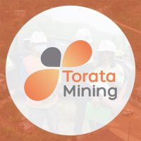 Torata Mining Resources TMR S.A.(@MiningTorata) 's Twitter Profile Photo