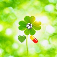 たんぽぽ🕊💌💊🍀💚🎹 (@tanpopo411111) 's Twitter Profile Photo