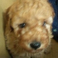 K.Y (@kuntyan3) Twitter profile photo
