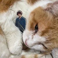 masa-yo-kei 💙🦀 (@masayokei1) Twitter profile photo