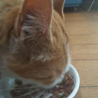 慧ちゃんにとりこ💐💙👻☕️ (@39scbljq3af) 's Twitter Profile Photo