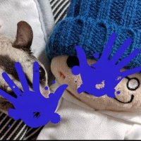 ハル🦀🐰🍄🦝💙 (@haru1126) 's Twitter Profile Photo