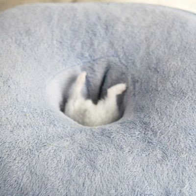 7n4mwtt4hzy's profile picture. 