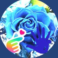 🦀tctc💙🇫🇷 (@tctctctc3) 's Twitter Profile