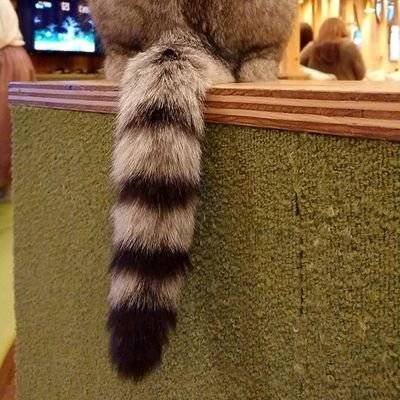 おみだよ。さんのプロフィール画像