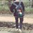 NoL_0407