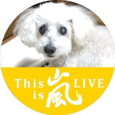 nino0617ryoma's profile picture. 嵐好き、リョーマ とお別れ(T . T)寂しくて、以前ペキも飼っていました。有岡さんに現在進行形。