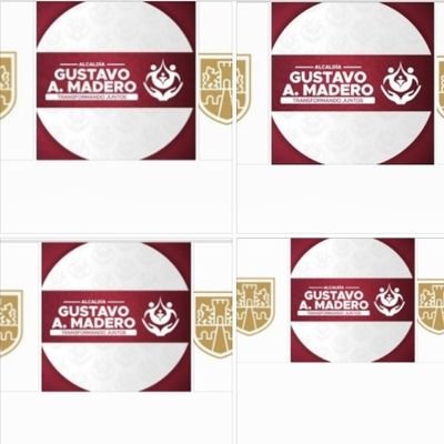 felipe62360990's profile picture. Participación ciudadana gam