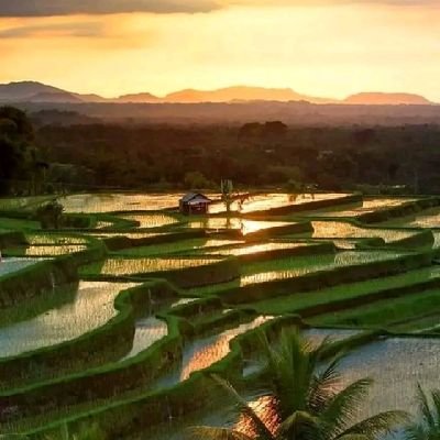 87_briyan's profile picture. 