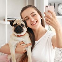 Pug Lover (@pug_love15) 's Twitter Profile
