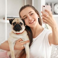 Pug Lover(@Pug_Love15) 's Twitter Profile Photo