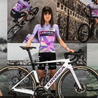 eidermerino (@eidermerino) 's Twitter Profile