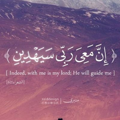 Moataz12678812's profile picture. 