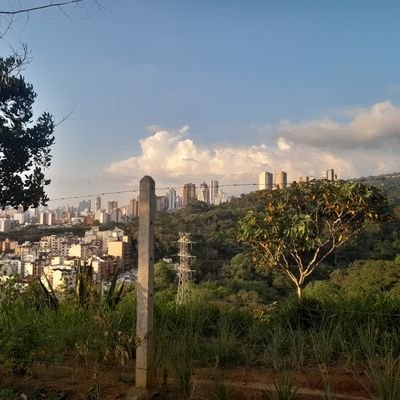 nelsoryven's profile picture. Cantar componer divertirme