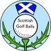 Scottish golf balls (@balls_scottish) Twitter profile photo