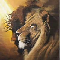 GOD is GOOD 🙏✝️⚔️ (@fightgoodfight7) 's Twitter Profile